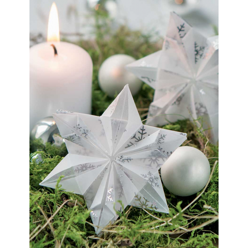 Modèle gratuit : étoile origami Iris Accueil