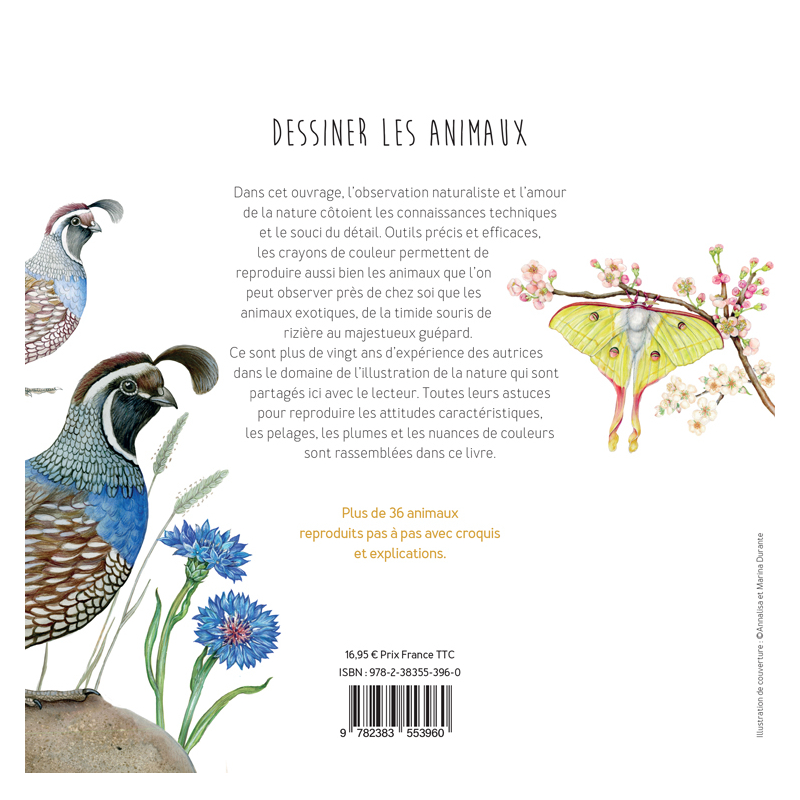 Dessiner les animaux, du croquis à la mise en couleur Livre Beaux-arts