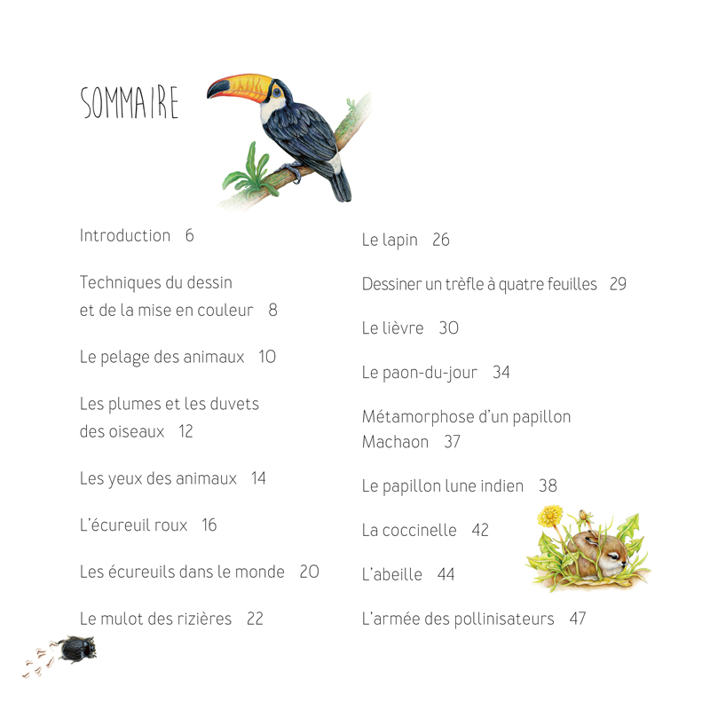 Dessiner les animaux, du croquis à la mise en couleur Livre Beaux-arts