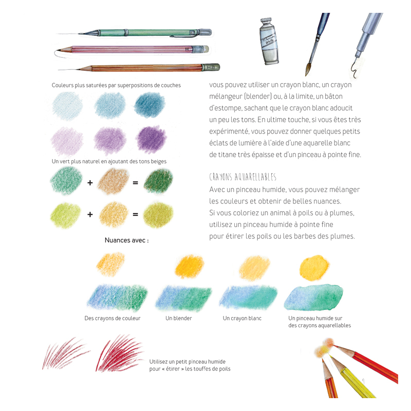 Dessiner les animaux, du croquis à la mise en couleur Livre Beaux-arts
