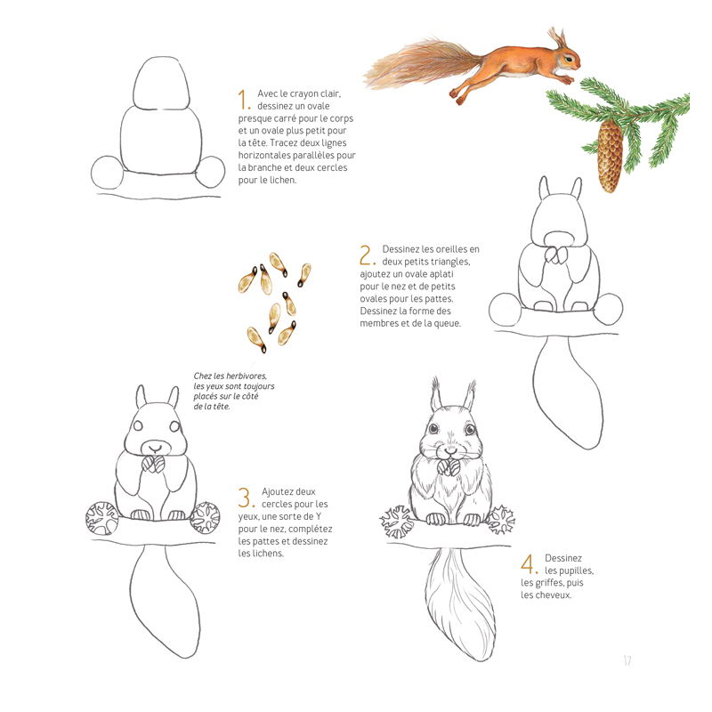 Dessiner les animaux, du croquis à la mise en couleur Livre Beaux-arts