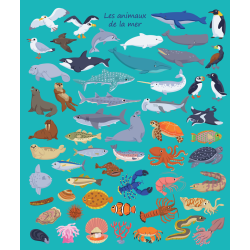 Mon imagier à colorier : les animaux de la mer Livre Jeunesse Mon imagier à colorier : les animaux de la mer Livre Jeunesse