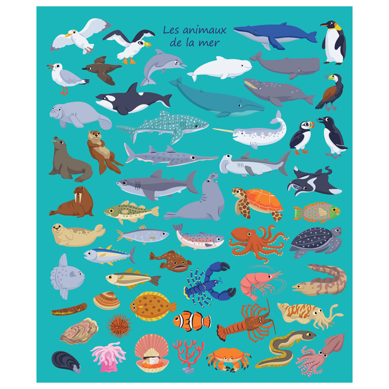 Mon imagier à colorier : les animaux de la mer Livre Jeunesse