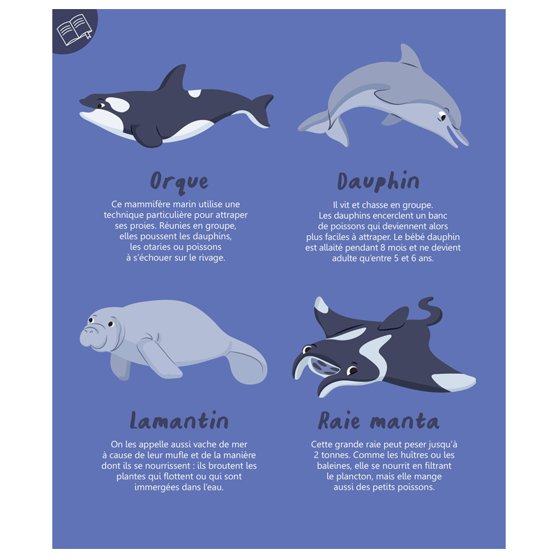 Mon imagier à colorier : les animaux de la mer Livre Jeunesse