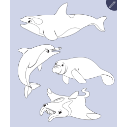 Mon imagier à colorier : les animaux de la mer Livre Jeunesse Mon imagier à colorier : les animaux de la mer Livre Jeunesse