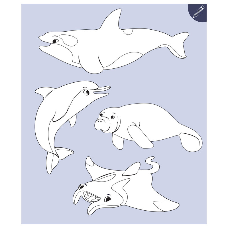 Mon imagier à colorier : les animaux de la mer Livre Jeunesse