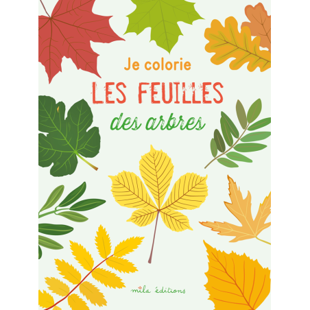 Je colorie des feuilles des arbres