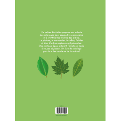Je colorie des feuilles des arbres Livre Jeunesse Je colorie des feuilles des arbres Livre Jeunesse