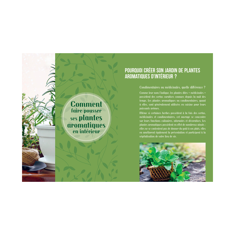 Les plantes aromatiques Livre Loisirs créatifs