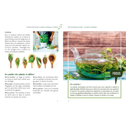 Les plantes aromatiques Livre Loisirs créatifs Les plantes aromatiques Livre Loisirs créatifs