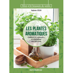 Les plantes aromatiques Livre Loisirs créatifs Les plantes aromatiques Livre Loisirs créatifs