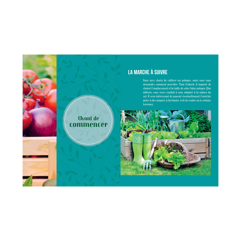 Le potager Livre Loisirs créatifs