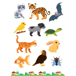 Cherche et trouve les animaux Livre Jeunesse Cherche et trouve les animaux Livre Jeunesse