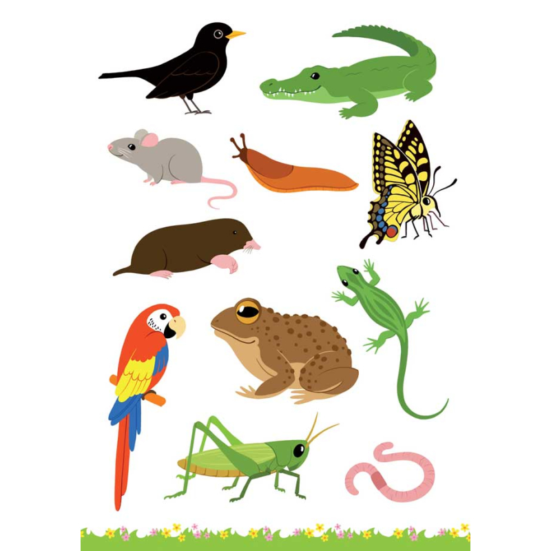 Cherche et trouve les animaux Livre Jeunesse