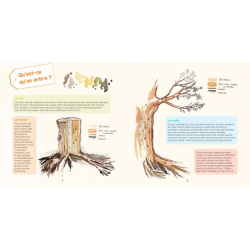 Je découvre la nature : Arbres et fleurs Livre Jeunesse Je découvre la nature : Arbres et fleurs Livre Jeunesse