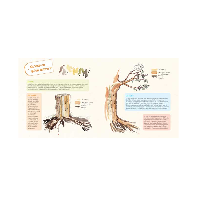 Je découvre la nature : Arbres et fleurs Livre Jeunesse