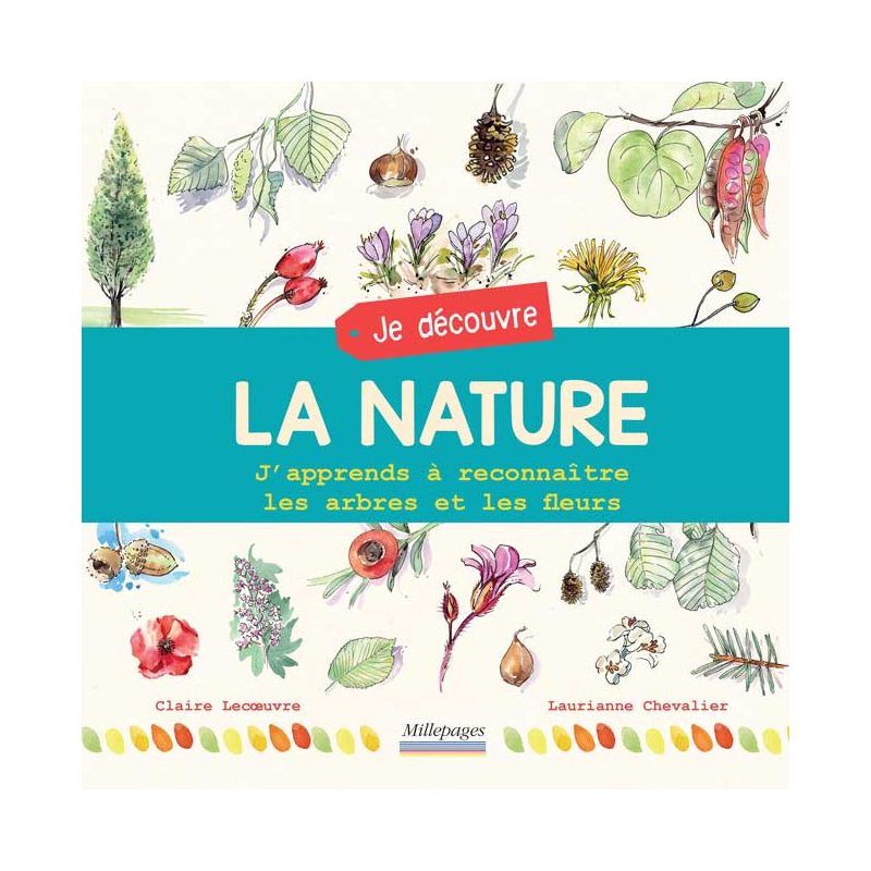 Je découvre la nature : Arbres et fleurs Livre Jeunesse