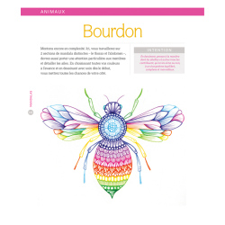 Mandalas. Un guide lumineux & beaux dessins Accueil Mandalas. Un guide lumineux & beaux dessins Accueil