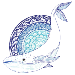Mandalas. Un guide lumineux & beaux dessins Accueil Mandalas. Un guide lumineux & beaux dessins Accueil