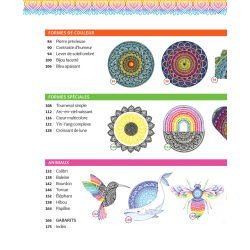 Mandalas. Un guide lumineux & beaux dessins Accueil Mandalas. Un guide lumineux & beaux dessins Accueil