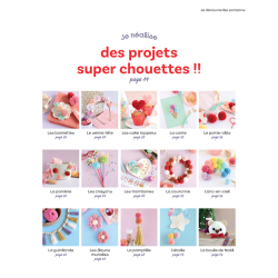 Je découvre les pompons Accueil Je découvre les pompons Accueil