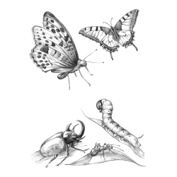 J'apprends à dessiner Accueil J'apprends à dessiner Accueil