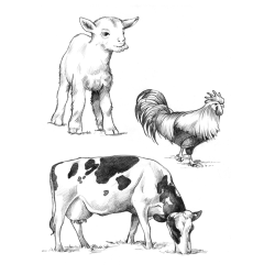 J'apprends à dessiner Accueil J'apprends à dessiner Accueil