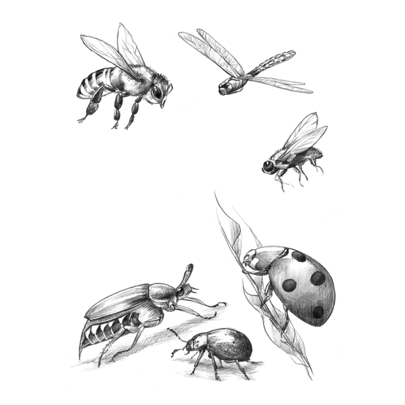 J'apprends à dessiner Accueil