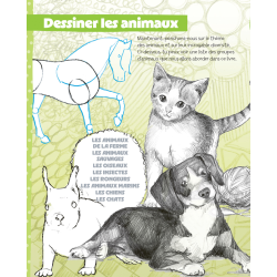 J'apprends à dessiner Accueil J'apprends à dessiner Accueil