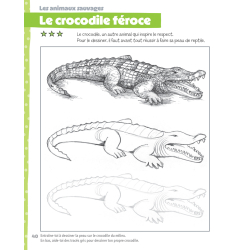 J'apprends à dessiner Accueil J'apprends à dessiner Accueil