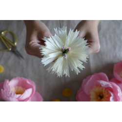 Coffret Fleurs de fêtes en pap - Occasion Kit COFFRETS