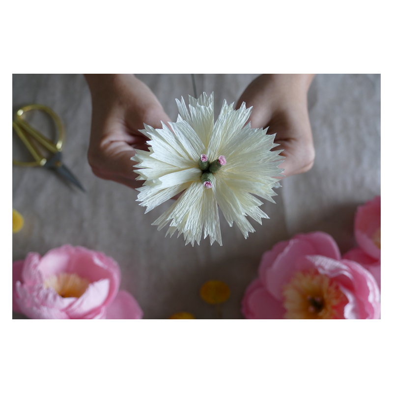 Coffret Fleurs de fêtes en pap - Occasion Kit COFFRETS