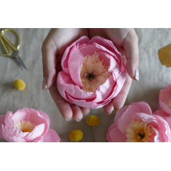 Coffret Fleurs de fêtes en pap - Occasion Kit COFFRETS