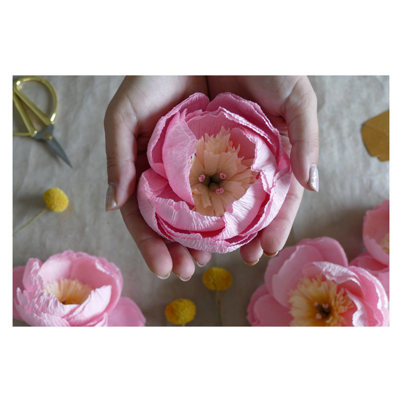 Coffret Fleurs de fêtes en pap - Occasion Kit COFFRETS