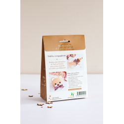 Feutrine Noël : Duo Fideles compagnons Kit COFFRETS