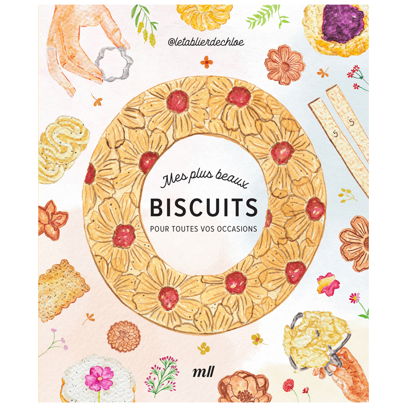 Mes plus beaux biscuits Livre DIY