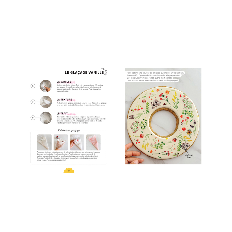Mes plus beaux biscuits Livre DIY
