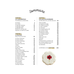 Mes plus beaux biscuits Livre DIY Mes plus beaux biscuits Livre DIY