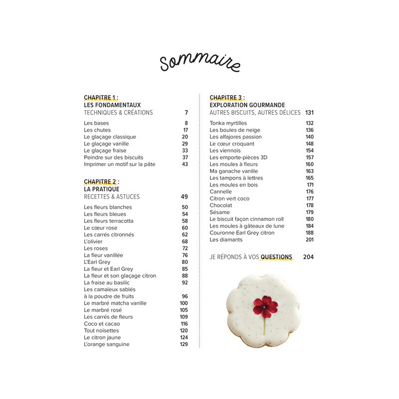 Mes plus beaux biscuits Livre DIY