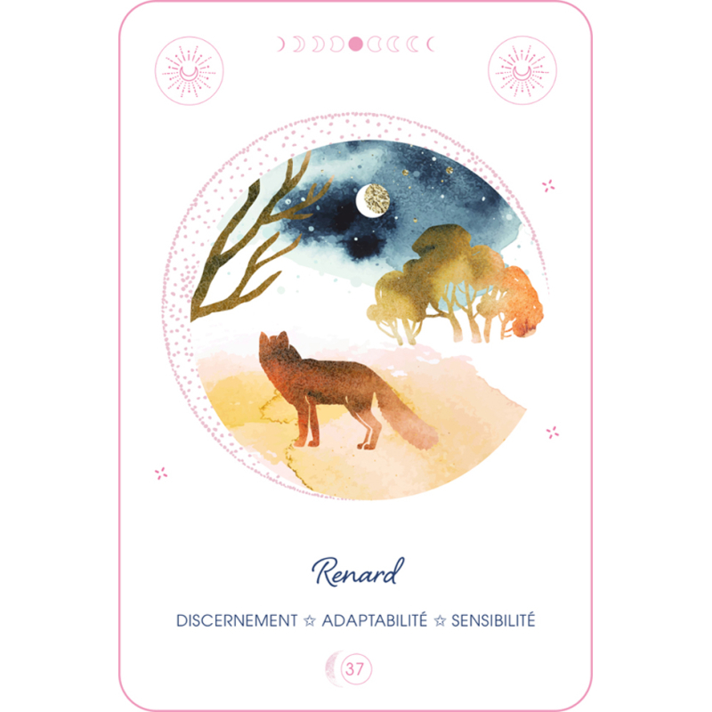 Oracle Magie de la lune Kit COFFRETS