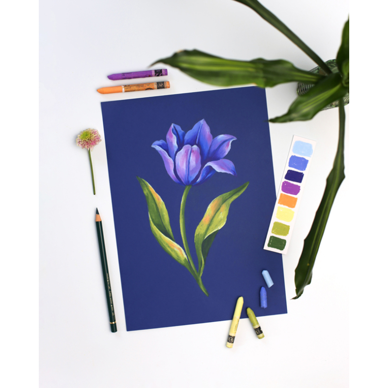 Apprendre le pastel Livre Collection Apprendre en 10 lecons