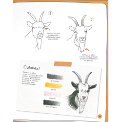 Dessiner en 10 minutes : animaux Beaux-arts Dessiner en 10 minutes : animaux Beaux-arts