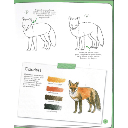 Dessiner en 10 minutes : animaux Beaux-arts Dessiner en 10 minutes : animaux Beaux-arts