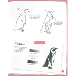 Dessiner en 10 minutes : animaux Beaux-arts Dessiner en 10 minutes : animaux Beaux-arts