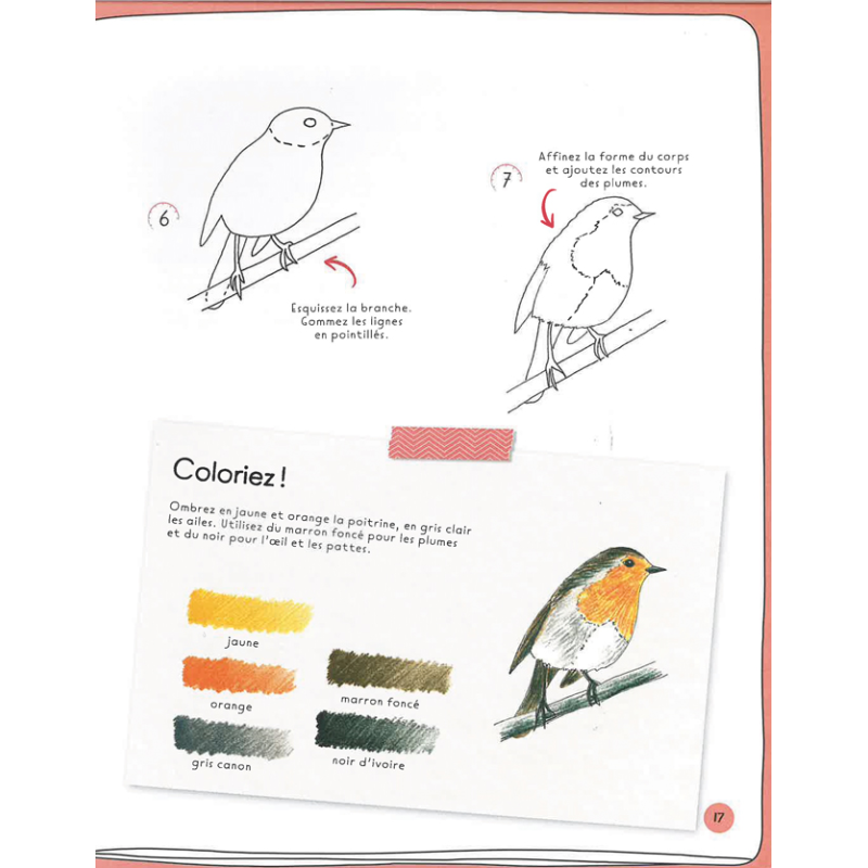 Dessiner en 10 minutes : animaux Beaux-arts