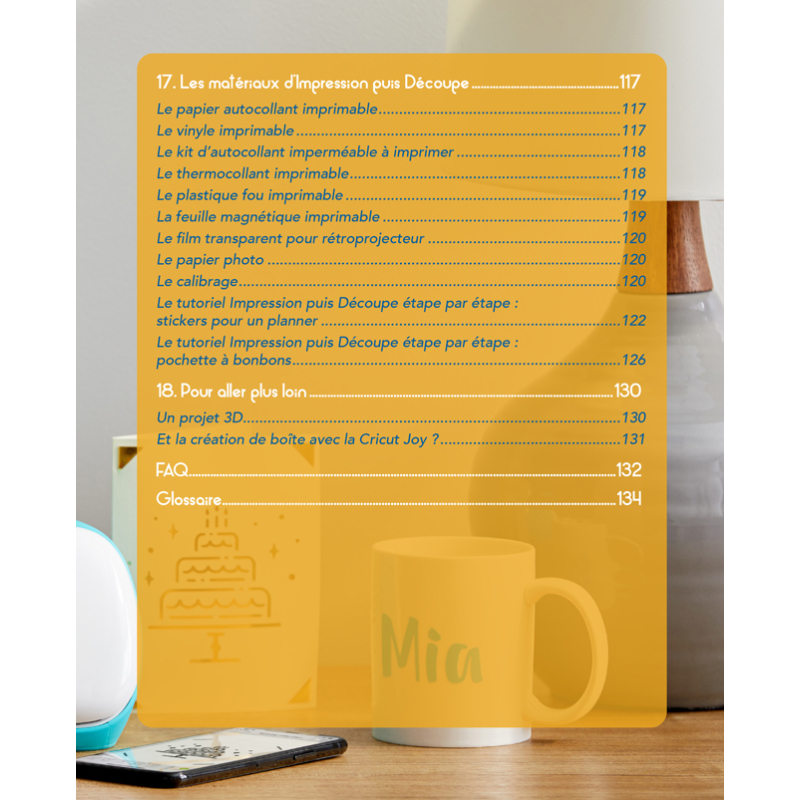 Bien débuter avec ma Cricut Joy Livre DIY