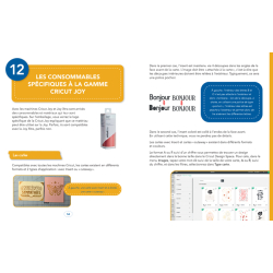 Bien débuter avec ma Cricut Joy Livre DIY