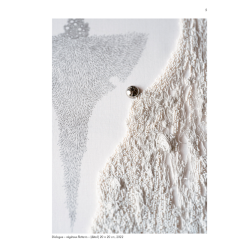 Broderie d'art en perles et paillettes Livre Broderie