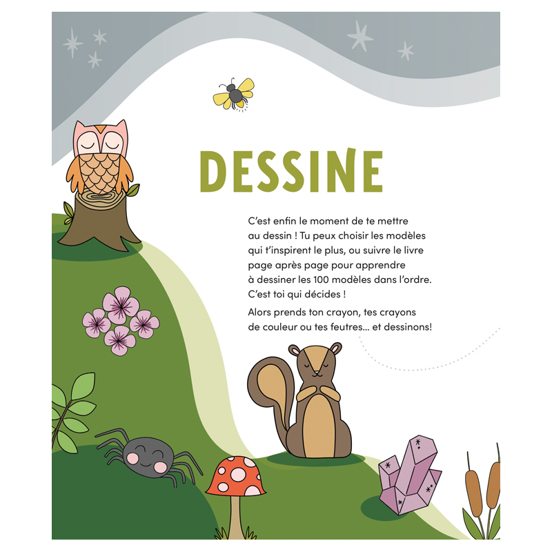 100 motifs animaux & nature à dessiner Livre Jeunesse