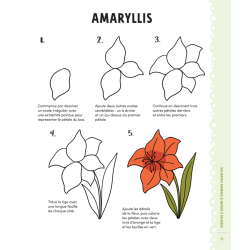 100 motifs animaux & nature à dessiner Livre Jeunesse